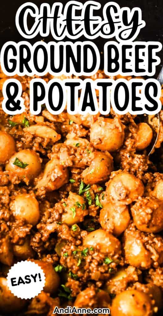 Close up of a pot of cheesy beef and potatoes