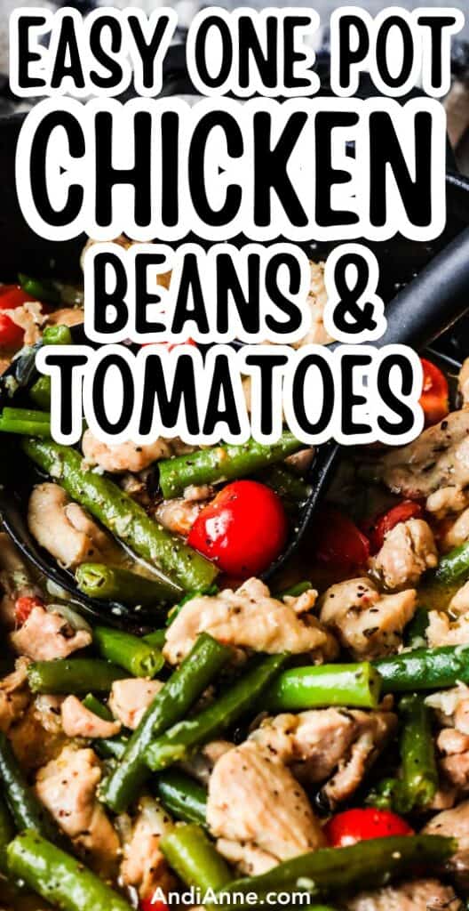 Close up of one pot chicken beans and tomatoes recipe