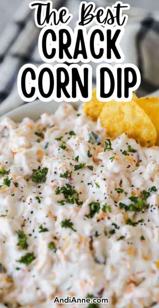 close up of crack corn dip