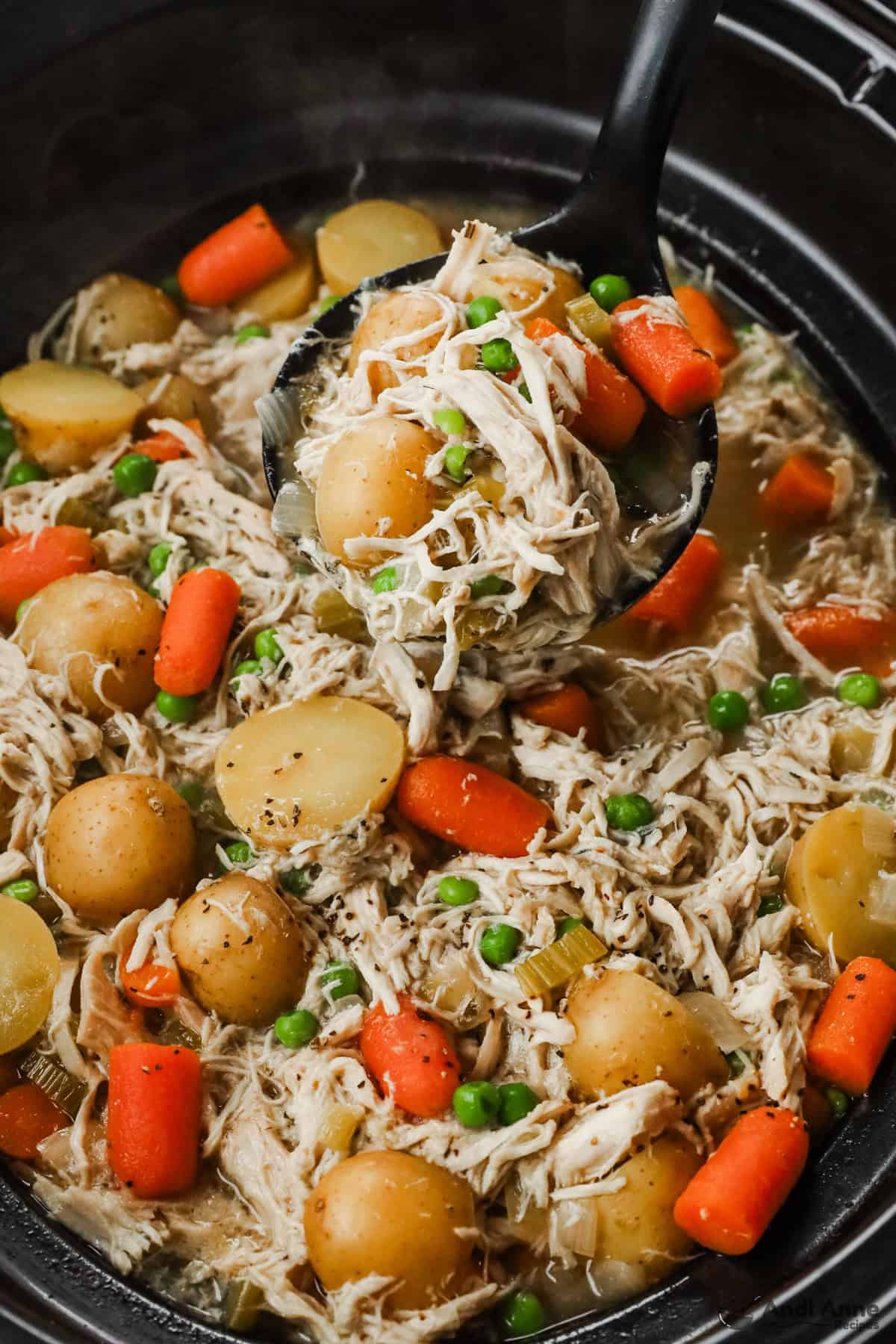 Closeup of cooked stew with a ladle scooping it up. 