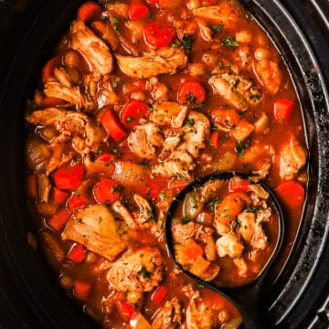 crockpot with moroccan chicken and soup ladle