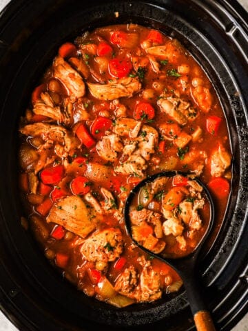 crockpot with moroccan chicken and soup ladle