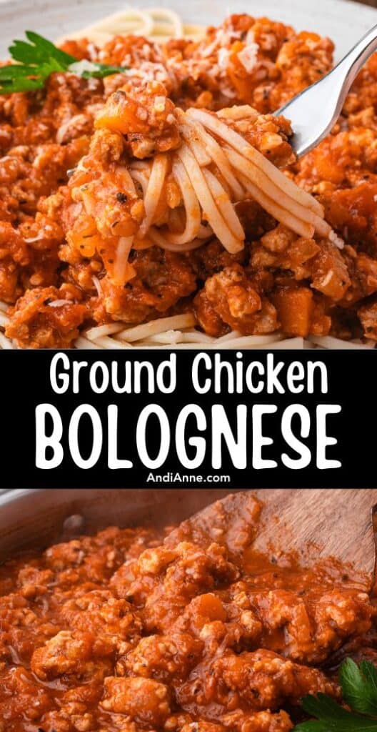 Close up of a fork twirling ground chicken bolognese sauce