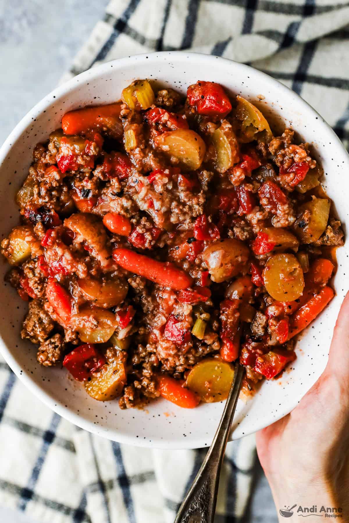 A bowl of Crockpot ground beef stew.