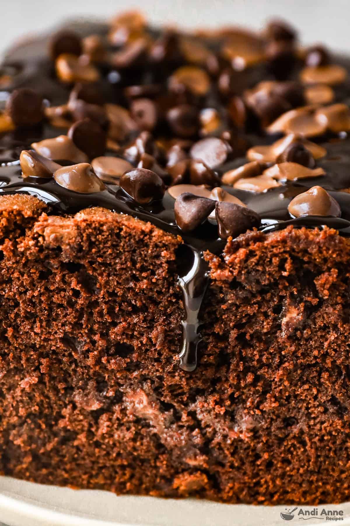 Brownie bread drizzled with hot fudge sauce and topped with chocolate chips.