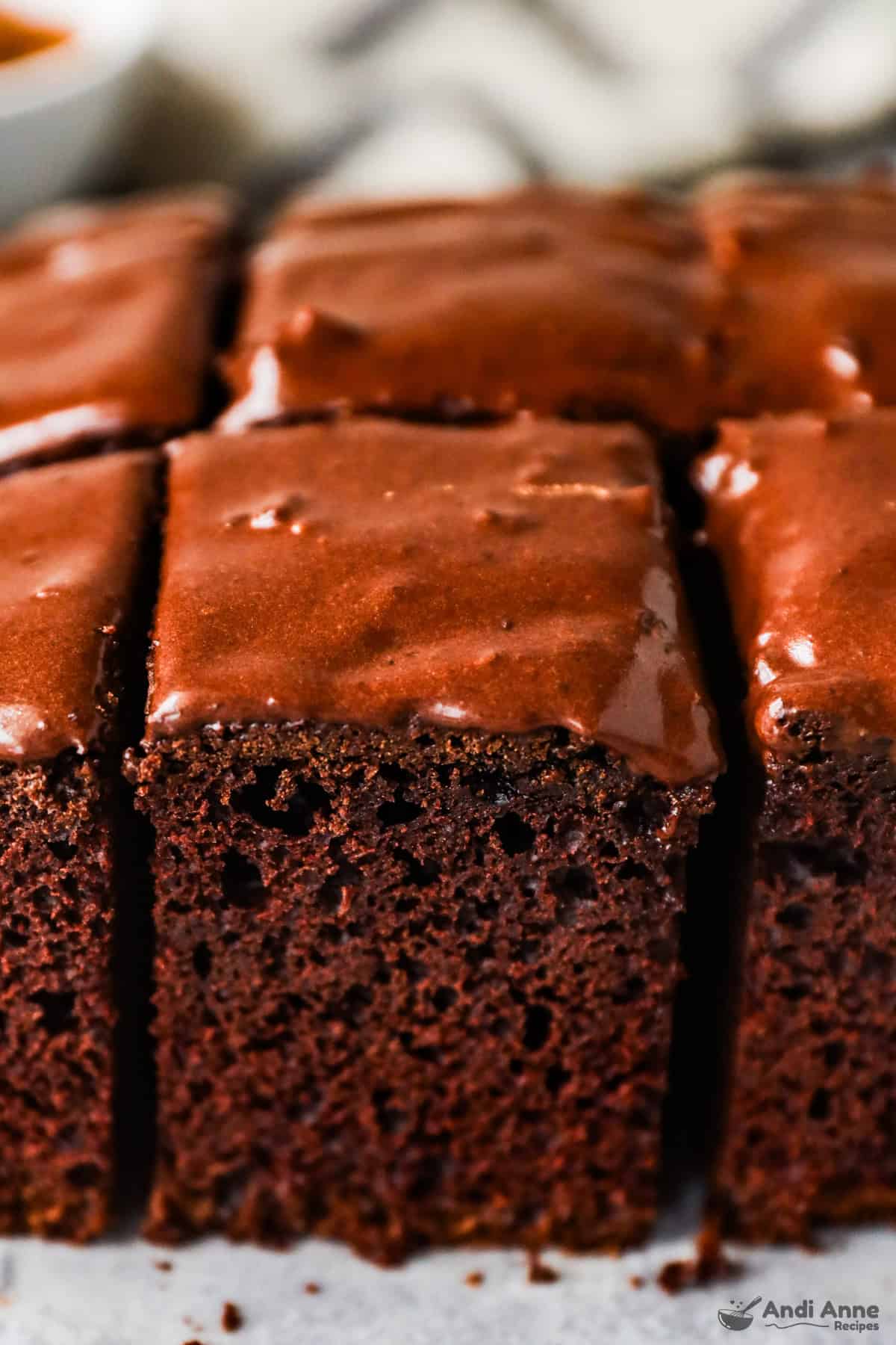 The side view of the chocolate cake shows the texture of the slices.
