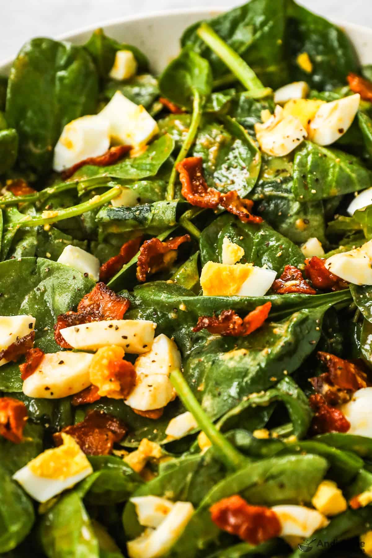 A close-up of spinach salad with bacon and chopped hard-boiled egg.