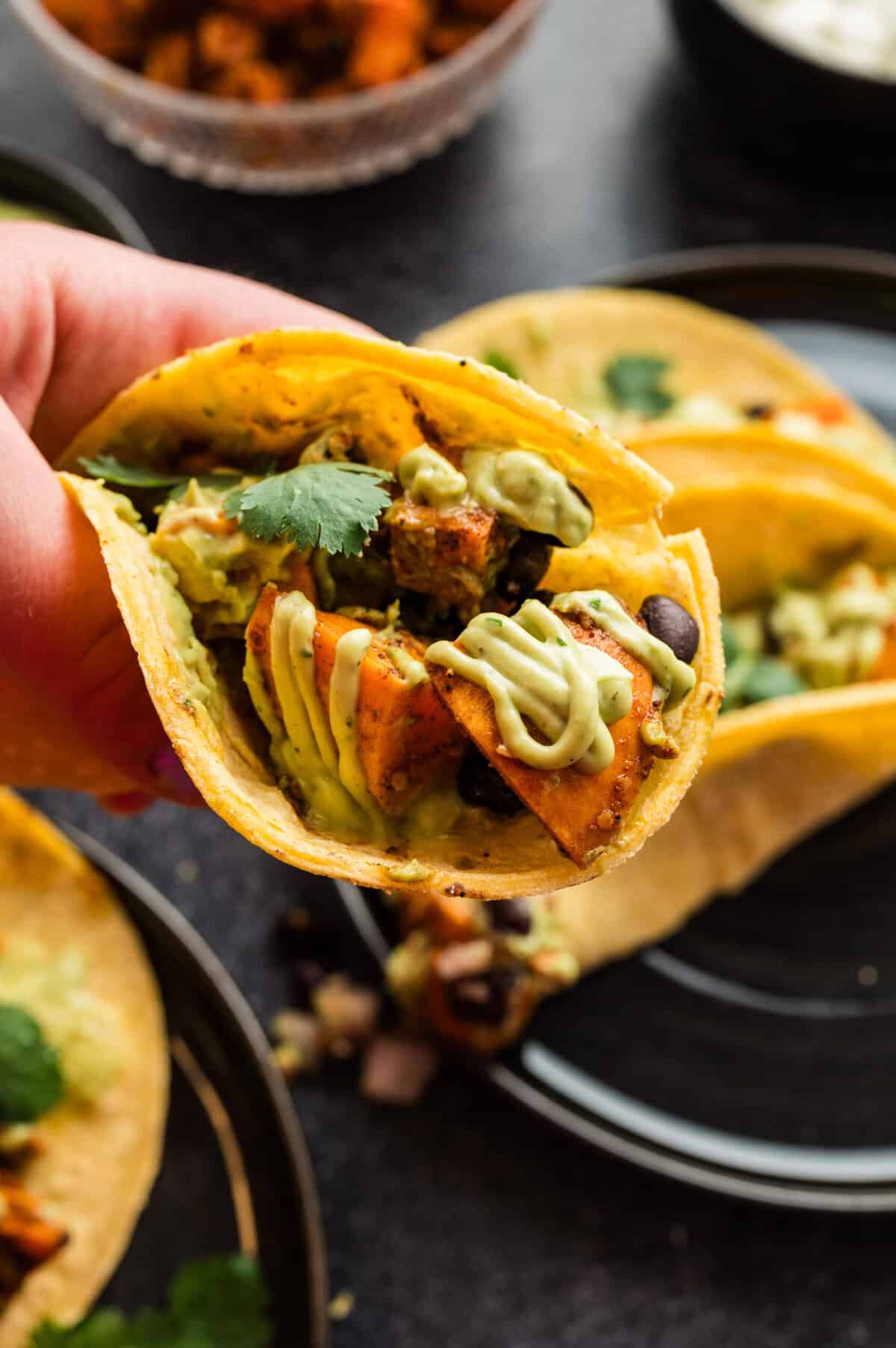 A taco shell filled with sweet potatoes, black beans, and avocado crema, topped with cilantro.