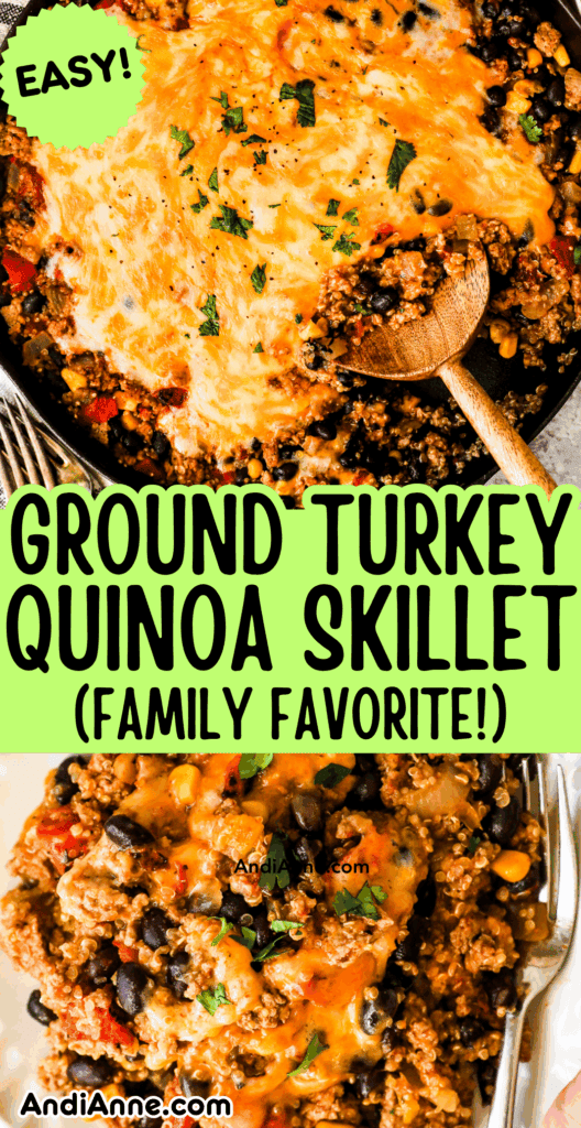 Ground turkey, quinoa, black beans, salsa verde, and melted cheese in a skillet and on a plate with a fork.