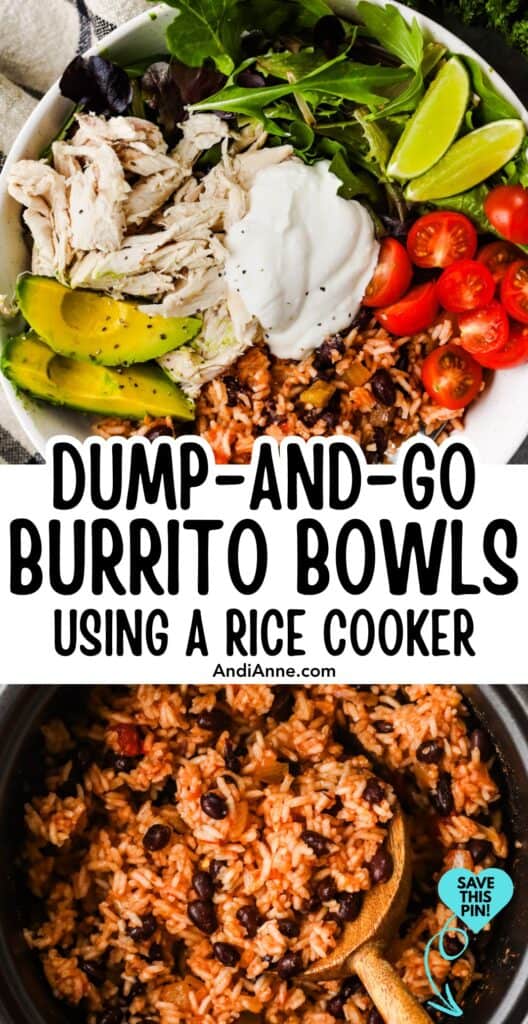 rice cooker with burrito rice and bowl with variety of veggies and rice