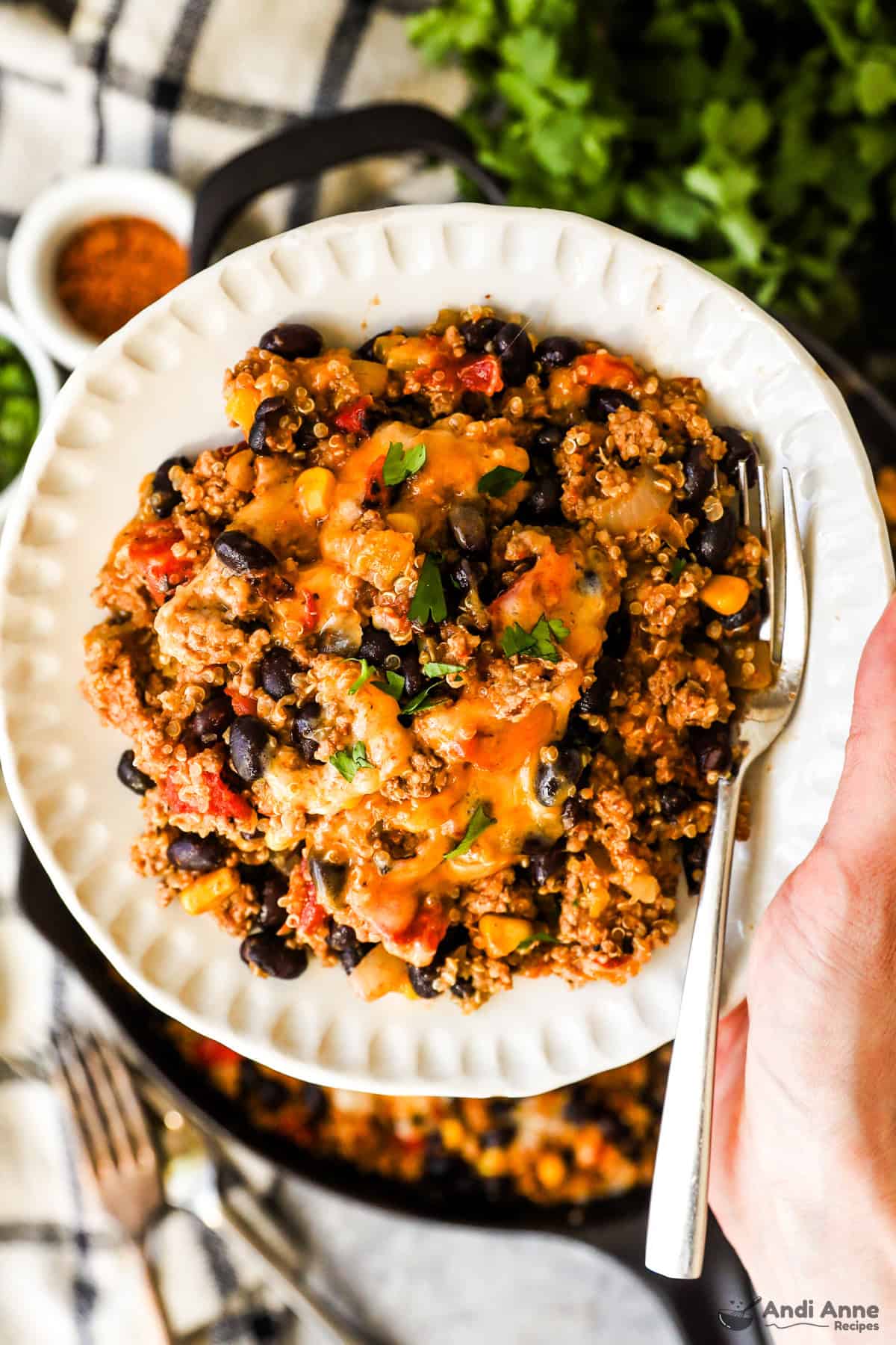 A plate filled with ground turkey, quinoa, beans, salsa, and cheese.