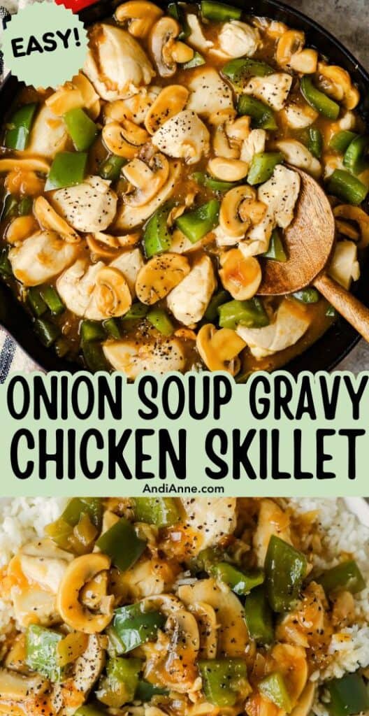 close up of onion soup gravy chicken skillet