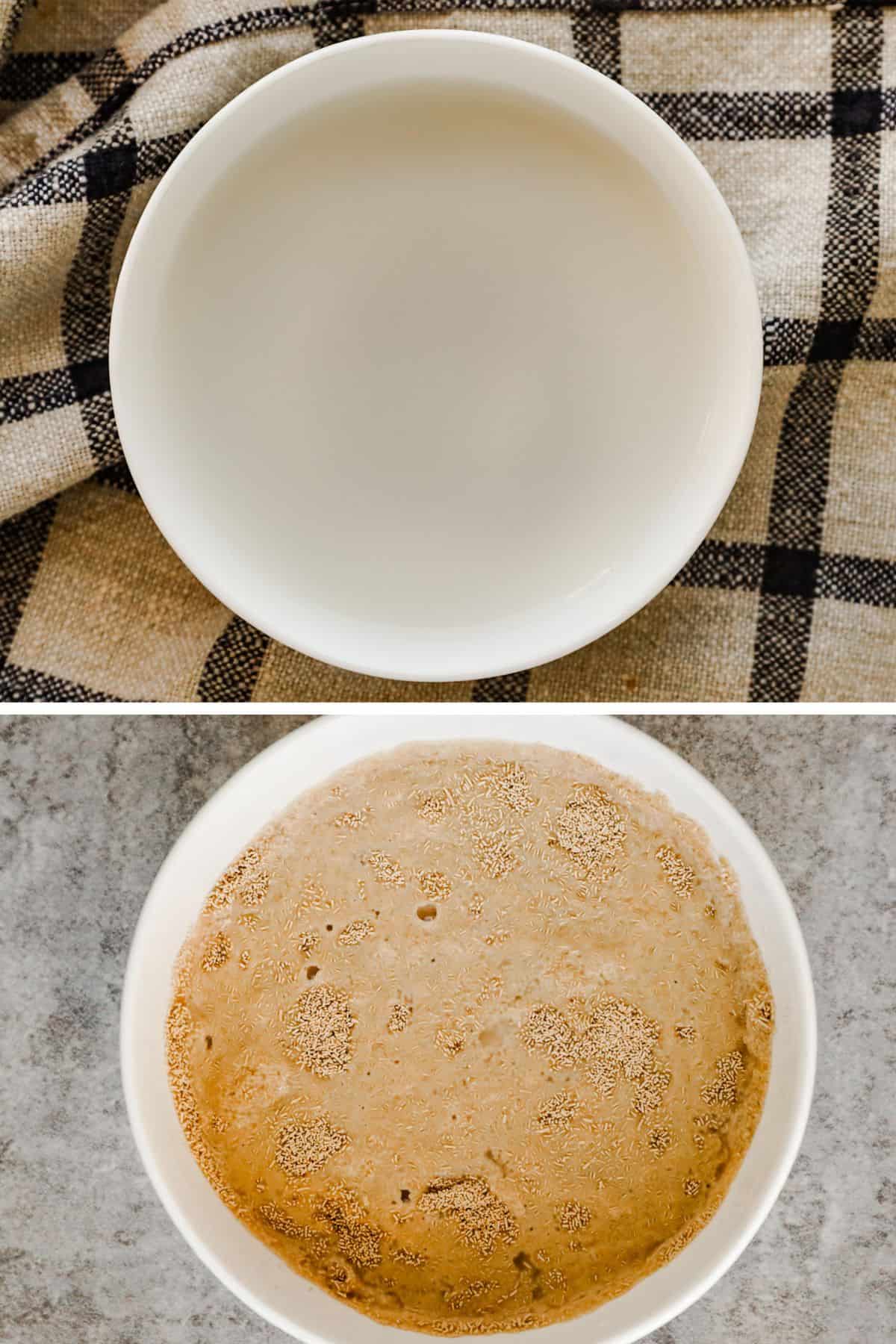 Yeast in a bowl