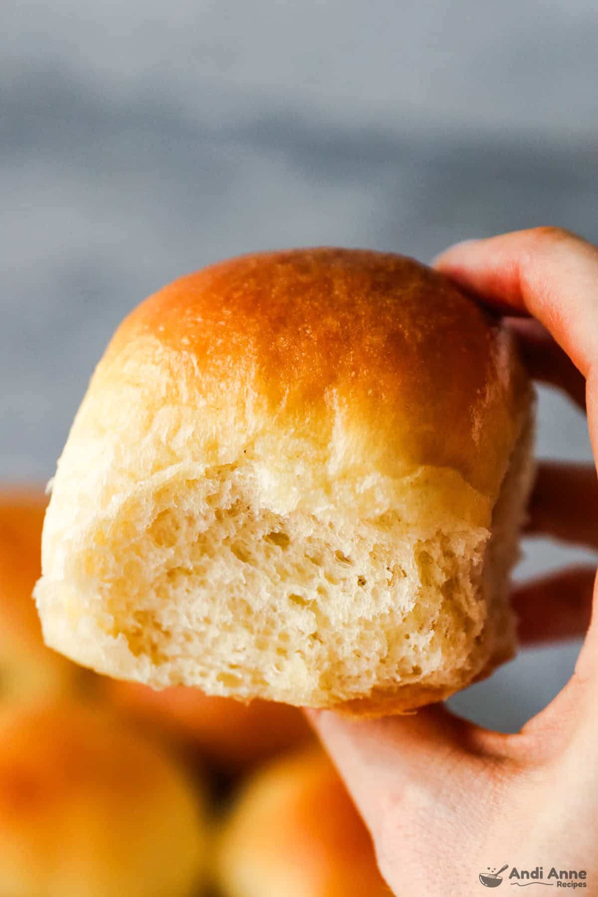 Hand holding dinner roll