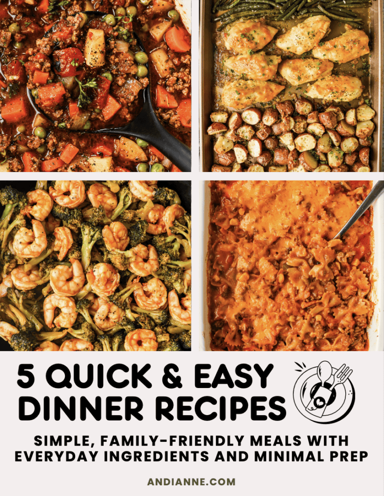 5 quick and easy dinner recipes ebook