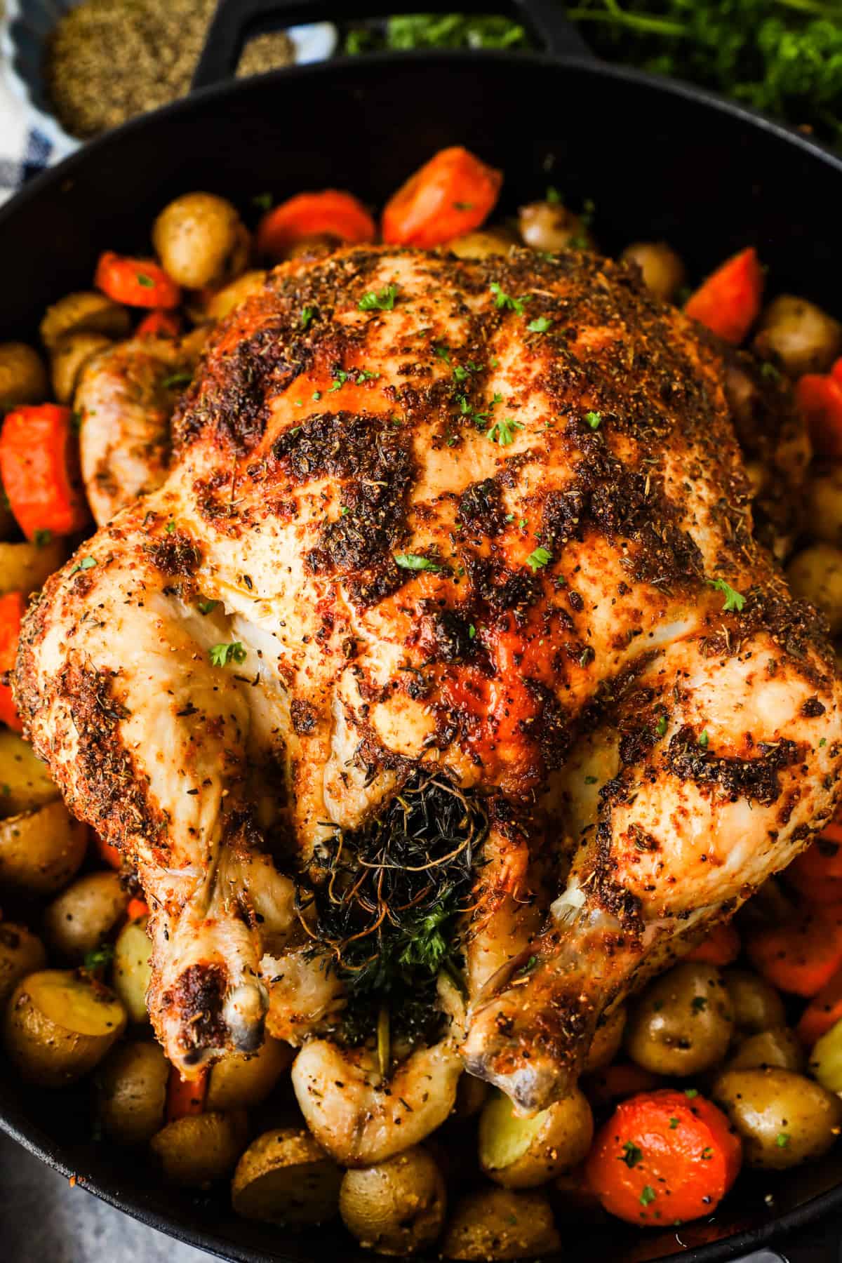 A well-seasoned whole roasted chicken in a Dutch oven on a bed of baby potatoes and carrot pieces.
